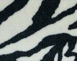 <b><font color=black><h3>Zebra